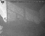 Capi_Dubne_20250830_000503.jpg