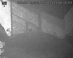 Capi_Dubne_20250830_001003.jpg