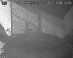 Capi_Dubne_20250830_001503.jpg