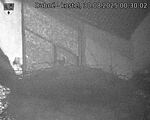 Capi_Dubne_20250830_003002.jpg