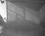 Capi_Dubne_20250830_005503.jpg