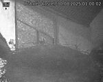 Capi_Dubne_20250830_010002.jpg