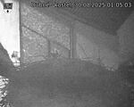 Capi_Dubne_20250830_010503.jpg