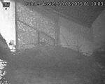 Capi_Dubne_20250830_011003.jpg