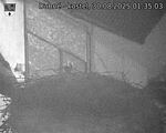 Capi_Dubne_20250830_013503.jpg