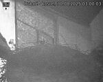 Capi_Dubne_20250830_030003.jpg