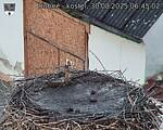 Capi_Dubne_20250830_064502.jpg