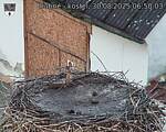 Capi_Dubne_20250830_065003.jpg