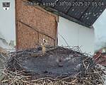 Capi_Dubne_20250830_070504.jpg