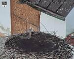 Capi_Dubne_20250830_100503.jpg