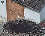 Capi_Dubne_20250830_105003.jpg