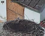 Capi_Dubne_20250830_111003.jpg