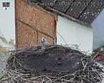 Capi_Dubne_20250830_113003.jpg
