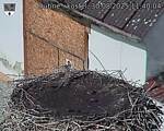 Capi_Dubne_20250830_114004.jpg