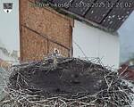 Capi_Dubne_20250830_122002.jpg