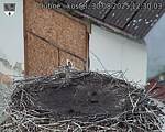 Capi_Dubne_20250830_123003.jpg