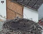 Capi_Dubne_20250830_124503.jpg