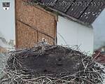 Capi_Dubne_20250830_125503.jpg