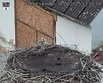 Capi_Dubne_20250830_130504.jpg