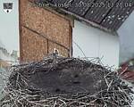Capi_Dubne_20250830_132004.jpg