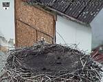 Capi_Dubne_20250830_132503.jpg