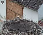 Capi_Dubne_20250830_133504.jpg