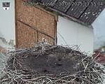 Capi_Dubne_20250830_135504.jpg