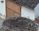 Capi_Dubne_20250830_140002.jpg