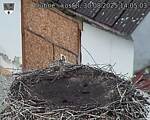 Capi_Dubne_20250830_140503.jpg