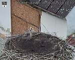 Capi_Dubne_20250830_141003.jpg