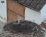 Capi_Dubne_20250830_142003.jpg