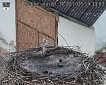 Capi_Dubne_20250830_143003.jpg