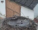 Capi_Dubne_20250830_143502.jpg