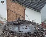 Capi_Dubne_20250830_144003.jpg