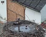 Capi_Dubne_20250830_144503.jpg