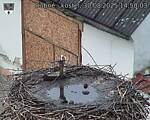 Capi_Dubne_20250830_145003.jpg