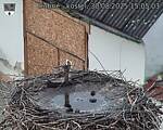 Capi_Dubne_20250830_150503.jpg