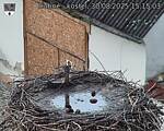 Capi_Dubne_20250830_151503.jpg