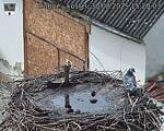Capi_Dubne_20250830_152003.jpg
