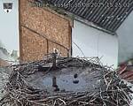 Capi_Dubne_20250830_152502.jpg