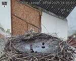 Capi_Dubne_20250830_160503.jpg