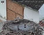 Capi_Dubne_20250830_161004.jpg