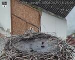 Capi_Dubne_20250830_162503.jpg