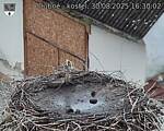 Capi_Dubne_20250830_163003.jpg