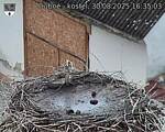 Capi_Dubne_20250830_163503.jpg