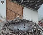 Capi_Dubne_20250830_164003.jpg