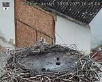 Capi_Dubne_20250830_164504.jpg