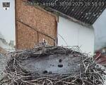 Capi_Dubne_20250830_165003.jpg