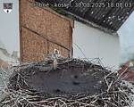 Capi_Dubne_20250830_180003.jpg