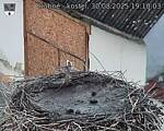 Capi_Dubne_20250830_191003.jpg